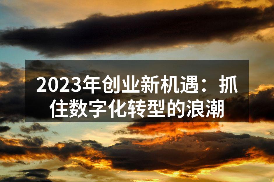 2023年创业新机遇：抓住数字化转型的浪潮