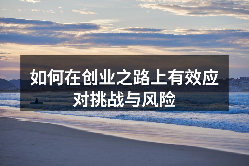 如何在创业之路上有效应对挑战与风险